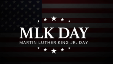 https://mlkday2025.fun/martin-luther-king-jr-national-day-of-service/