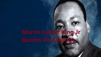 Martin Luther King Jr Quotes On Courage