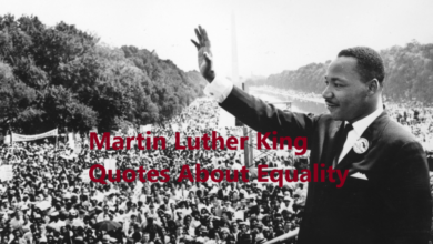 Martin Luther King Quotes About Equality